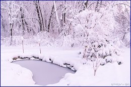 Click to open ������ ������