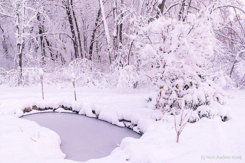 Winter Fun