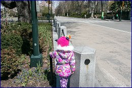 Click to open ���-����