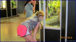 Click to open ����� �����