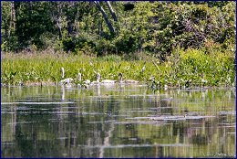 Click to open �� ������