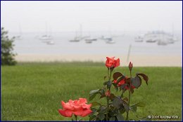 Click to open ����� - 5 ����