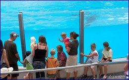 Click to open ������� - 16 �������