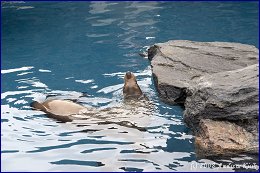 Click to open ������� - 30 �������