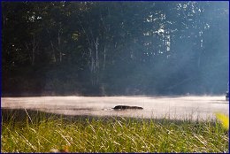 Click to open 24 �������